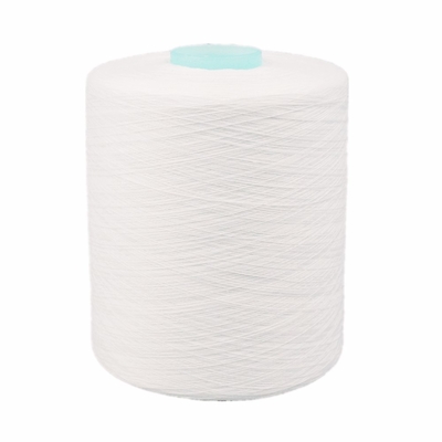 402 502 302 produsen benang poliester di Cina Polyester Sewing Yarn Polyester spun yarn 40/2
