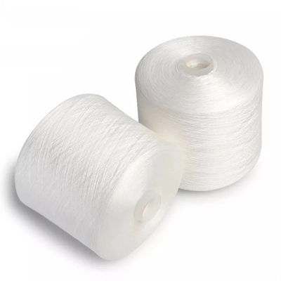 20/2, 20/3, 40/2 40/3 Putih mentah 100% Polyester Ring Spun Yarn Untuk mencelupkan benang