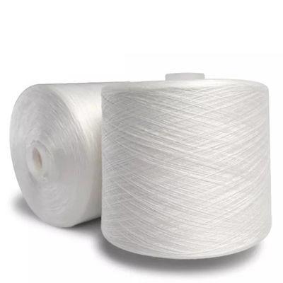 20/2, 20/3, 40/2 40/3 Putih mentah 100% Polyester Ring Spun Yarn Untuk mencelupkan benang