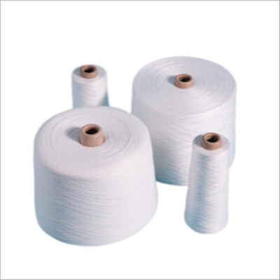 40/2 40/3, 50/2, 50/3 100% Polyester Ring Spun Yarn