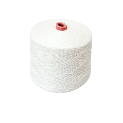 30s 30/2, 30/3 100% Polyester Ring Spun Yarn Polyester Benang rajutan