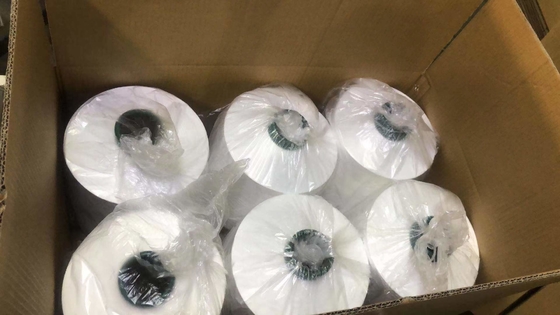 150/48 300/96 NIM Bahan baku Putih 100% Polyester DTY